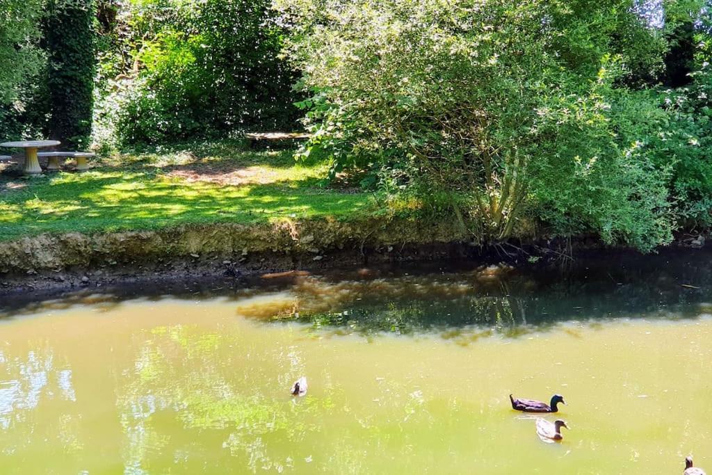 Tout Le Confort Au Milieu D'Un Parc Botanique Noyal-Muzillac Екстериор снимка